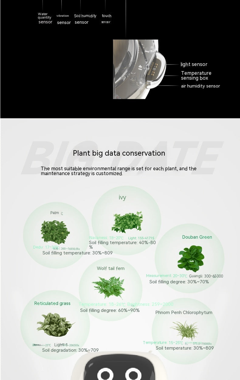 IVY Planter