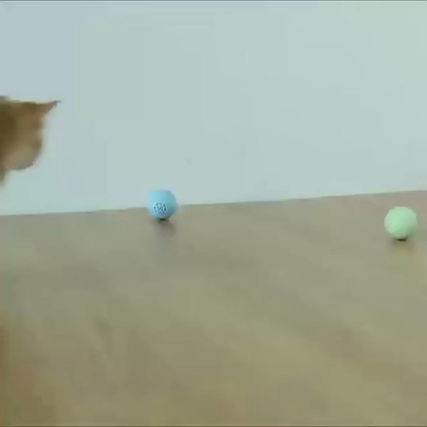 Pussy Cat Music Ball